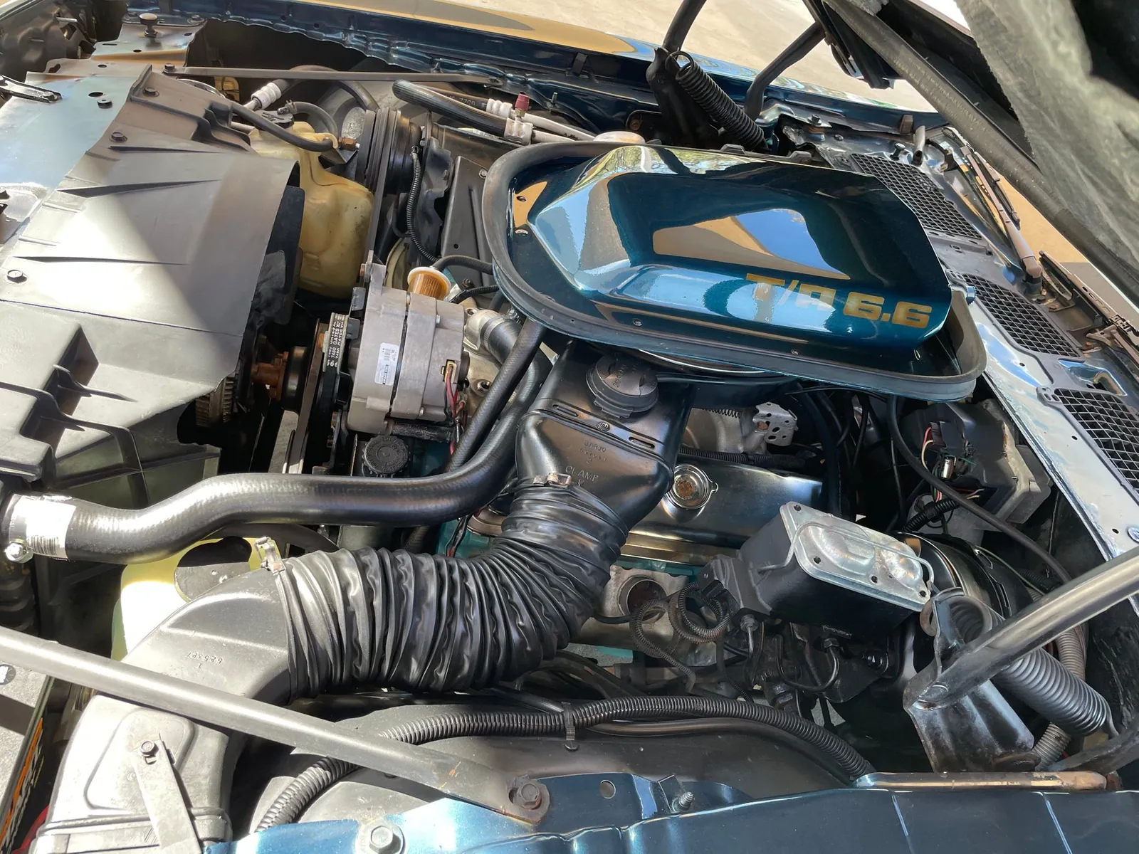 1979 Pontiac Trans AM photo 12